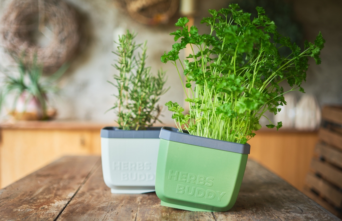 Samozavlažovací kvetináč na bylinky Herbs Buddy ukazovateľ vody